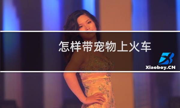 怎样带宠物上火车