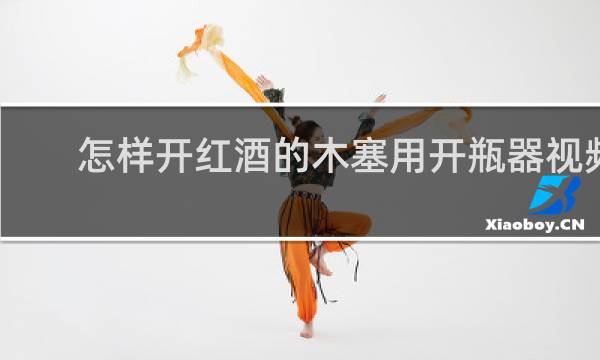 怎样开红酒的木塞用开瓶器视频
