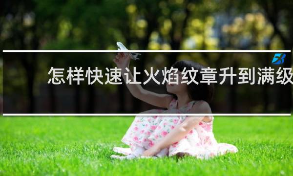 怎样快速让火焰纹章升到满级