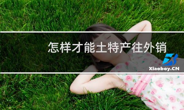 怎样才能土特产往外销