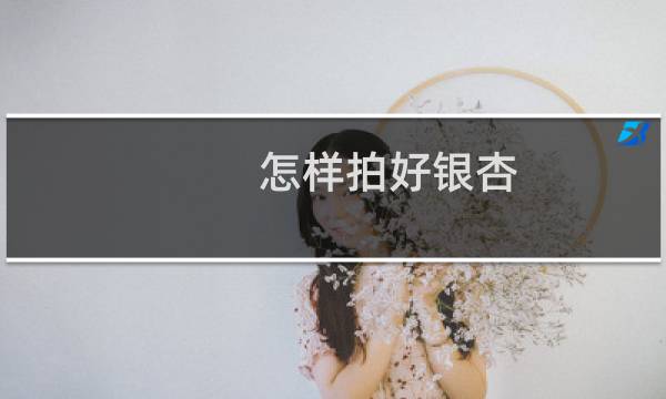 怎样拍好银杏
