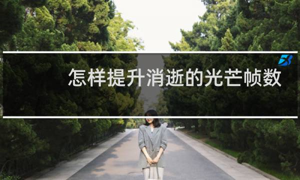 怎样提升消逝的光芒帧数