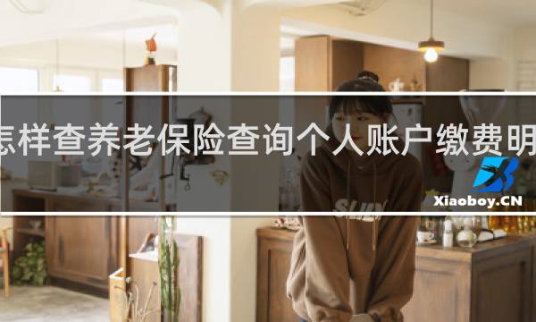 怎样查养老保险查询个人账户缴费明细查询