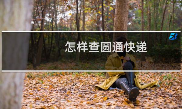 怎样查圆通快递