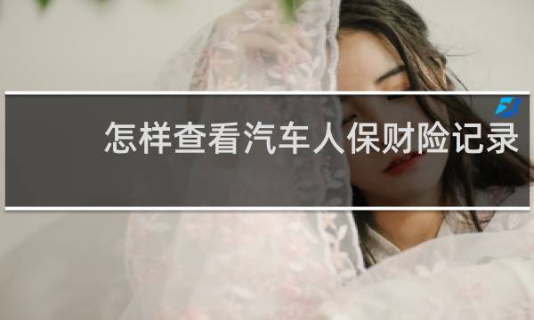 怎样查看汽车人保财险记录