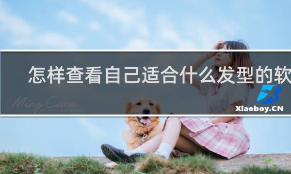怎样查看自己适合什么发型的软件