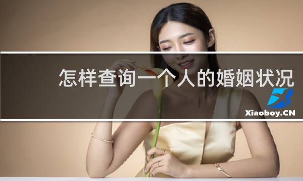 怎样查询一个人的婚姻状况