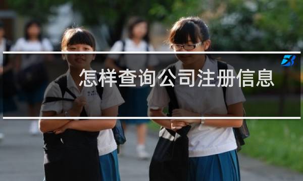 怎样查询公司注册信息