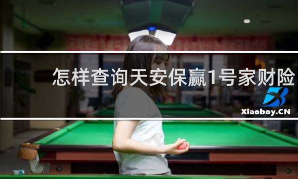 怎样查询天安保赢1号家财险