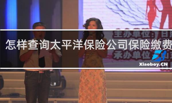 怎样查询太平洋保险公司保险缴费记录