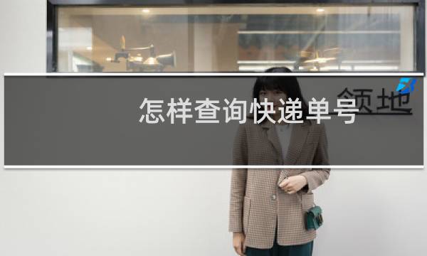 怎样查询快递单号