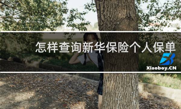 怎样查询新华保险个人保单