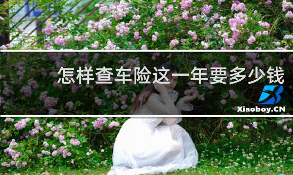 怎样查车险这一年要多少钱