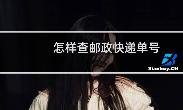 怎样查邮政快递单号