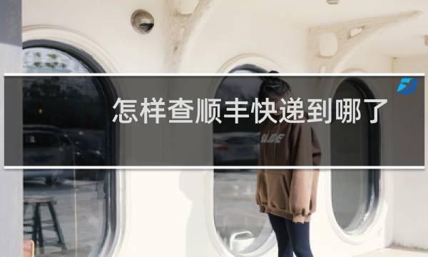 怎样查顺丰快递到哪了
