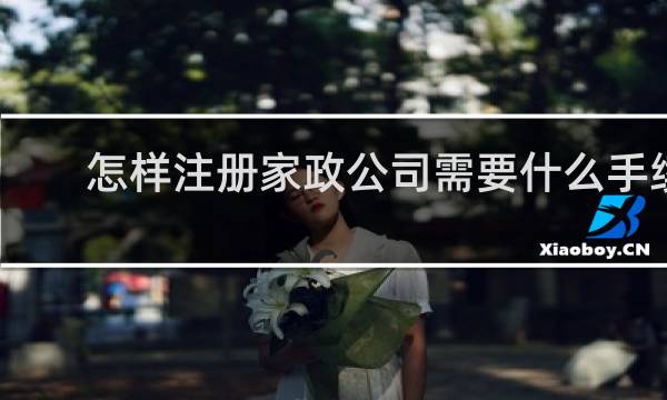 怎样注册家政公司需要什么手续