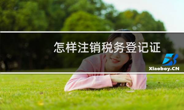 怎样注销税务登记证