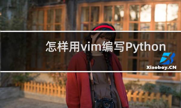 怎样用vim编写Python