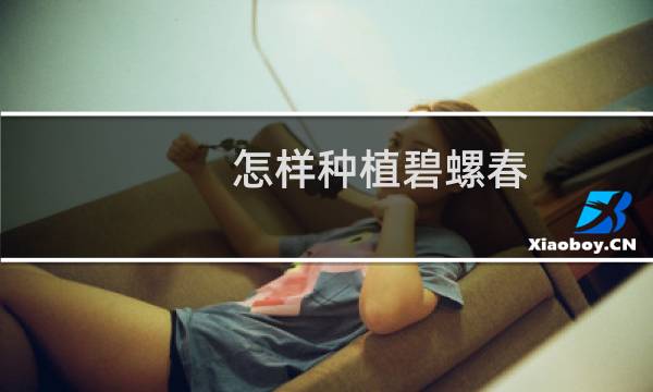 怎样种植碧螺春