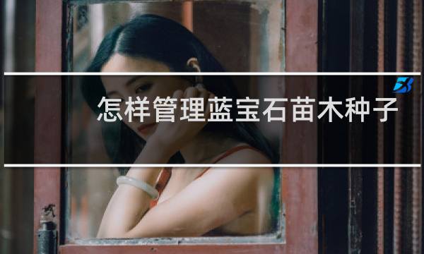 怎样管理蓝宝石苗木种子