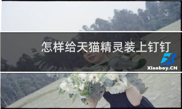怎样给天猫精灵装上钉钉
