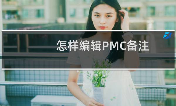 怎样编辑PMC备注