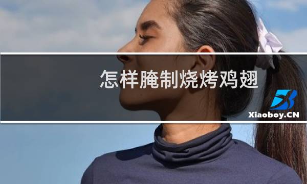 怎样腌制烧烤鸡翅