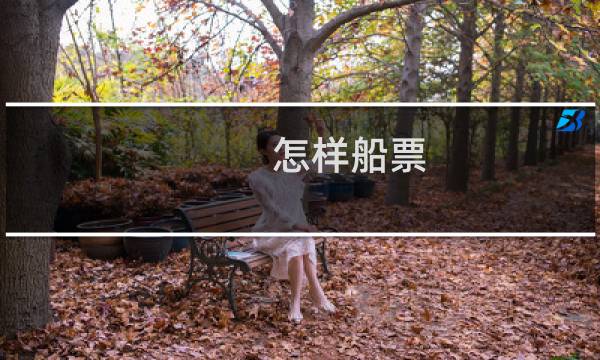 怎样船票