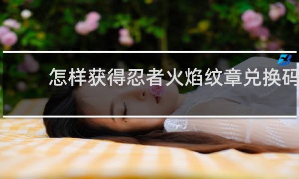 怎样获得忍者火焰纹章兑换码