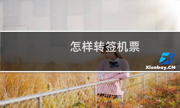 怎样转签机票