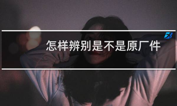 怎样辨别是不是原厂件