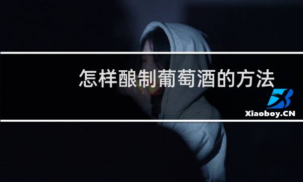 怎样酿制葡萄酒的方法