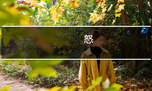 怒 游戏攻略
