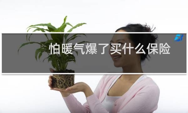 怕暖气爆了买什么保险
