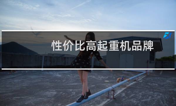 性价比高起重机品牌