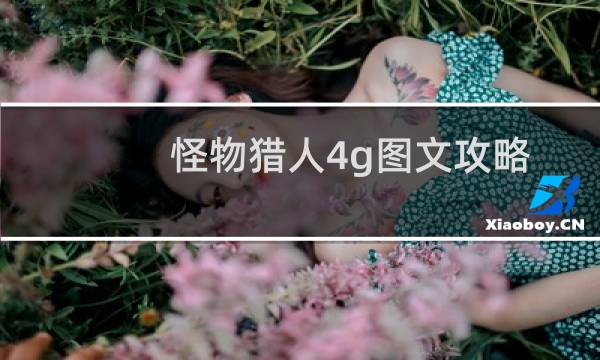 怪物猎人4g图文攻略