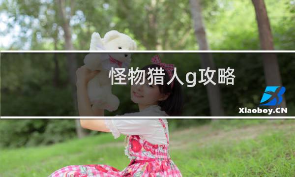 怪物猎人g攻略