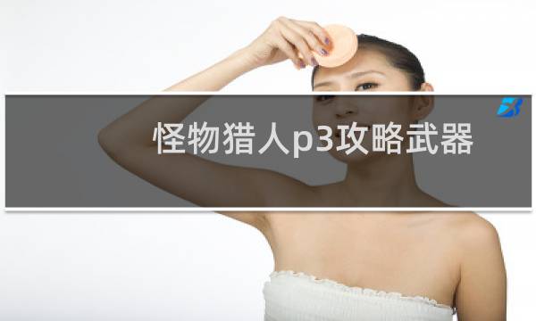 怪物猎人p3攻略武器