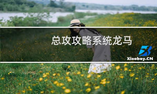 总攻攻略系统龙马