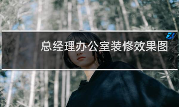 总经理办公室装修效果图