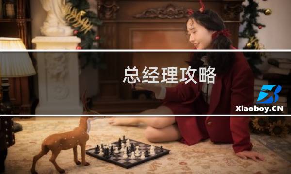 总经理攻略