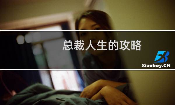 总裁人生的攻略