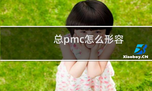 总pmc怎么形容