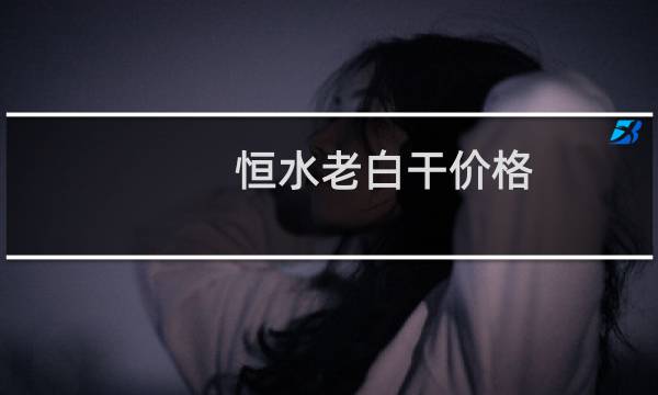 恒水老白干价格