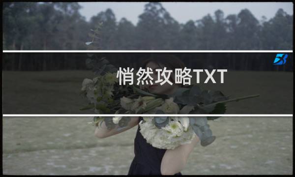 悄然攻略TXT