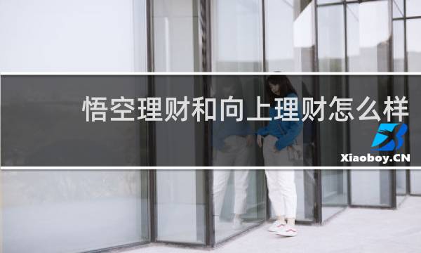 悟空理财和向上理财怎么样