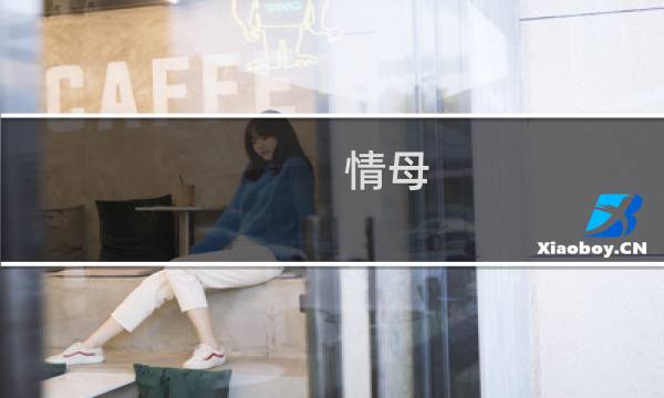 情母 攻略
