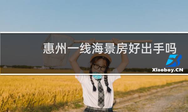 惠州一线海景房好出手吗