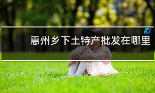惠州乡下土特产批发在哪里