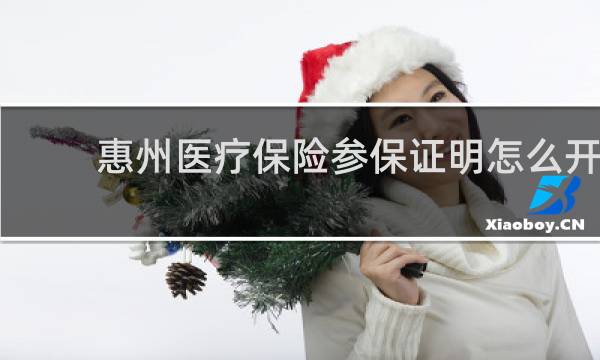 惠州医疗保险参保证明怎么开